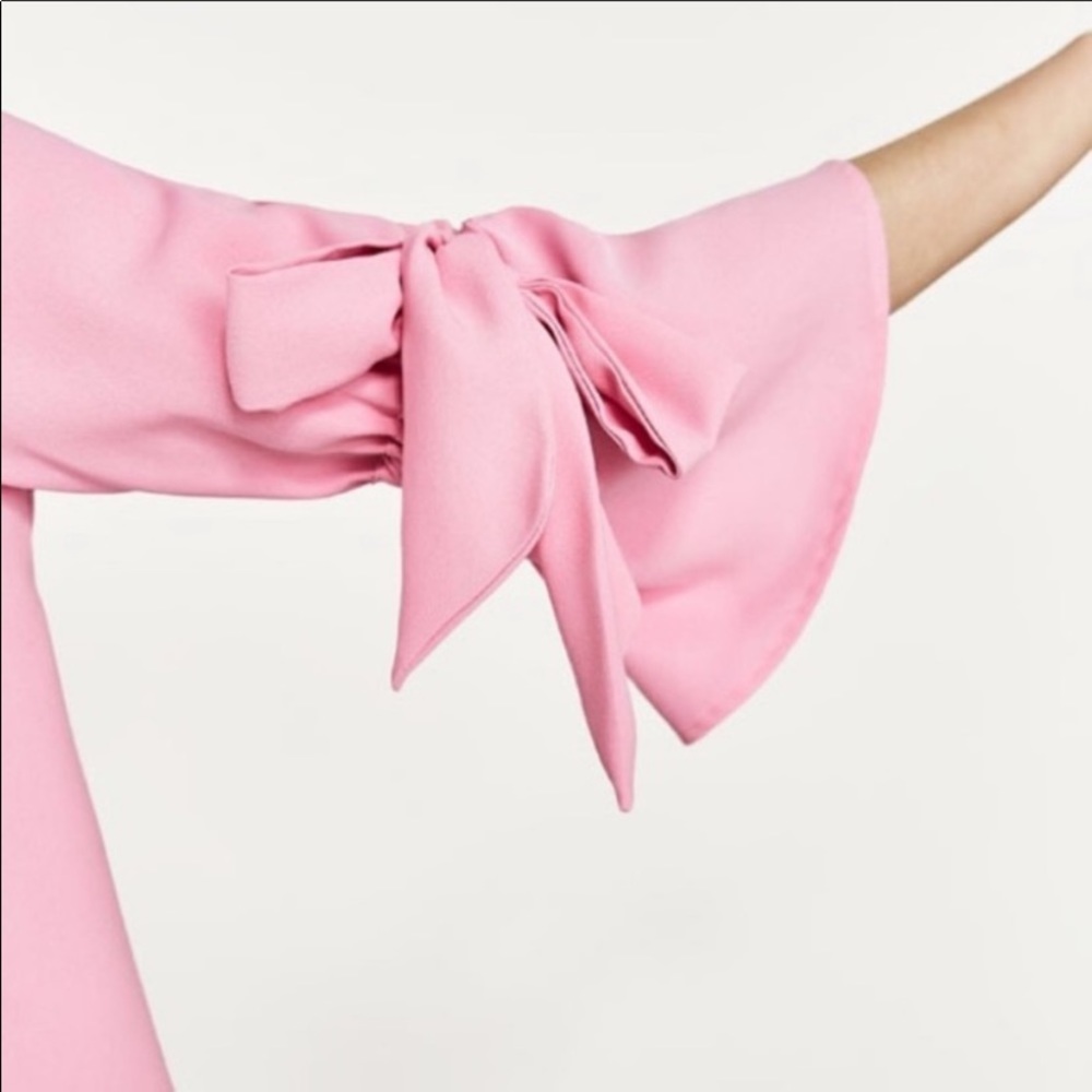 Zara Pink Ruffle Top - Picture 5 of 5